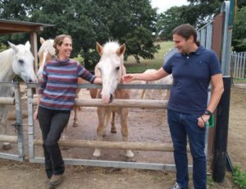 Ponyhof Heynckes